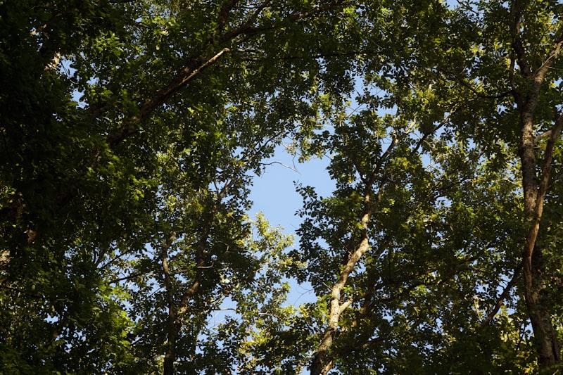 Balkan Ülkeleri: Nereye Gidilir, Ne Yapılır?